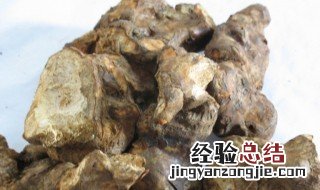 新鲜土茯苓怎样挑好的 怎么挑选鲜土茯苓