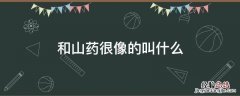 和山药很像的叫什么,圆圆的扁扁的 和山药很像的叫什么