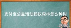 支付宝公益活动蚂蚁森林怎么种树 支付宝蚂蚁森林公益林怎么申请