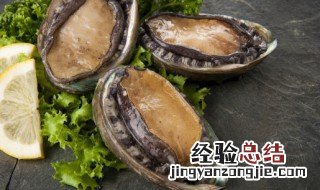 鲍鱼的功效与作用 鲍鱼对人体的好处