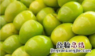 青枣可以放冰箱吗 青枣可不可以放冰箱