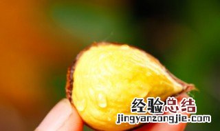 生栗子的功效与作用 熟栗子的功效与作用及禁忌