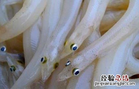 面条鱼的做法家常做法 面条鱼的家常做法大全