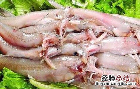 龙头鱼的家常做法大全 龙头鱼的家常做法简单