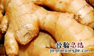 生姜怎么存放比较久 保存生姜久的方法