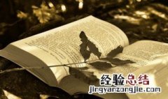 形容对一个男人死心的成语 对一个男人死心塌地的词语