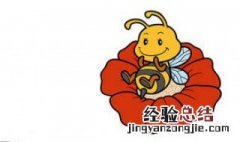 被蜜蜂蛰了怎么消肿 被蜜蜂蛰了怎么消肿止痛
