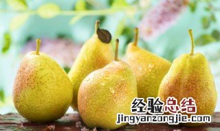 熬梨水能和普洱茶一块喝吗 普洱茶和梨一起煮水的功效