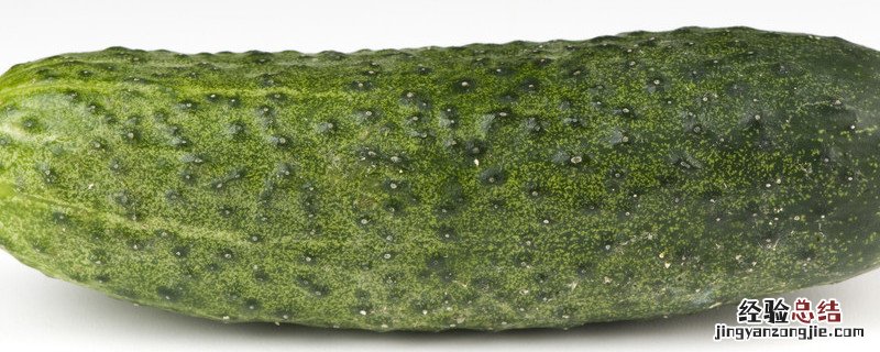 黄瓜种植方法和时间 黄瓜种植方法和时间视频