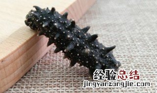 泡发好的海参怎么吃 泡发好的海参怎么吃才不缩水