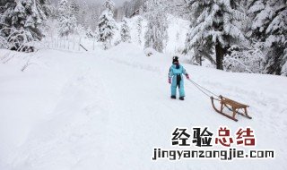 看到雪景的心情句子简短 看到雪景的心情句子