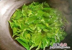 香椿叶的功效与作用 香椿叶泡水喝的功效 香椿叶煮水的功效与作用