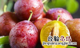 新鲜西梅怎么吃 新鲜西梅怎么保存久一点