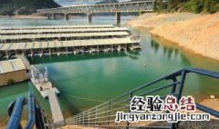 牛尿污染环境该怎么处理 牛尿及牛场污水如何处理?
