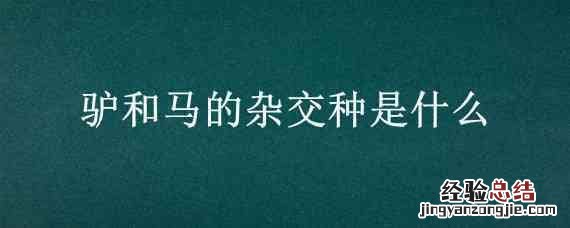 驴和马的杂交种是什么 驴和马的杂交种是什么动物