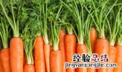 萝卜和虾米可以一起吃吗 虾米跟萝卜能一起吃吗