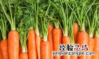萝卜和虾米可以一起吃吗 虾米跟萝卜能一起吃吗