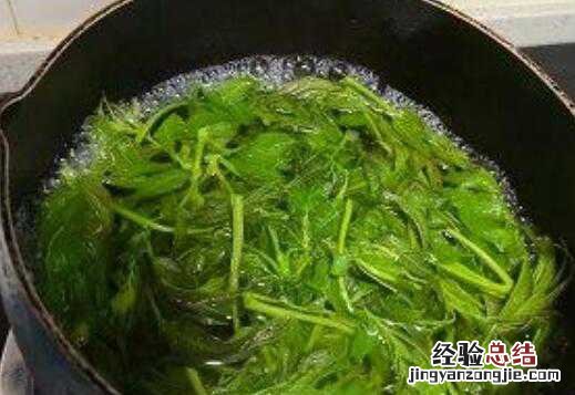 老香椿叶泡水喝的功效与作用 老香椿叶泡水喝的功效与作用是什么