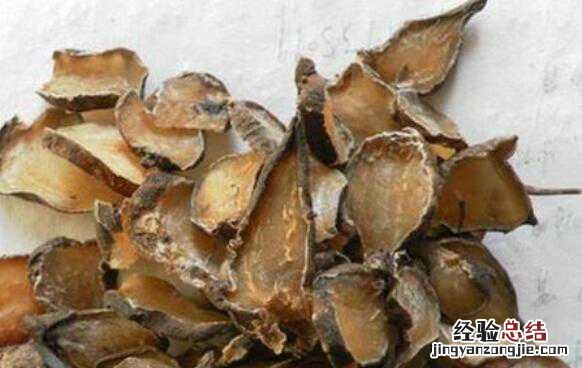 炮附子的功效与作用，炮附子的药用价值高吗