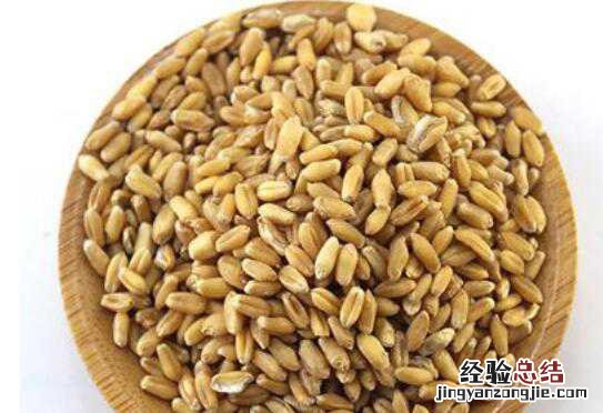 淮小麦的功效与作用的功能与主治 淮小麦的功效与作用