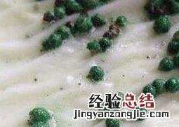 铜钱草种子的养殖方法和注意事项