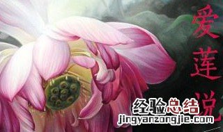 爱莲说阐述了什么人生态度或深刻道理 一篇古文带你领略陶渊明的精神世界