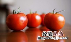 牛肉烧西红柿怎么做 牛肉烧西红柿的烹饪方法