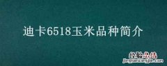 迪卡6518玉米品种简介 迪卡653玉米品种简介迪卡1210