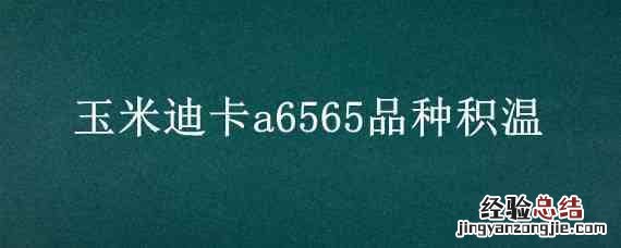 迪卡a6565玉米特征特性 玉米迪卡a6565品种积温