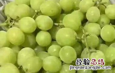 绿提子皮的功效与作用 绿青提子的功效与作用