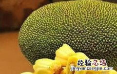 菠萝蜜最快的催熟办法 菠萝蜜最快的催熟办法是什么