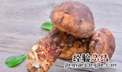 猴头菇和榛蘑可以一起吃吗 松茸猴头菇榛蘑能一起吃吗
