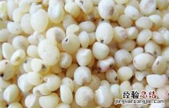 高粱米怎么吃最好吃 高粱米怎么吃最好