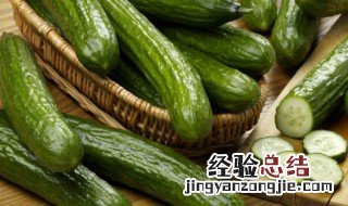 黄焖鳝鱼的家常做法窍门 黄瓜焖鳝鱼怎么做好吃