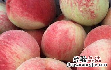 水蜜桃和毛桃有什么区别 水蜜桃和毛桃有什么区别百度百科