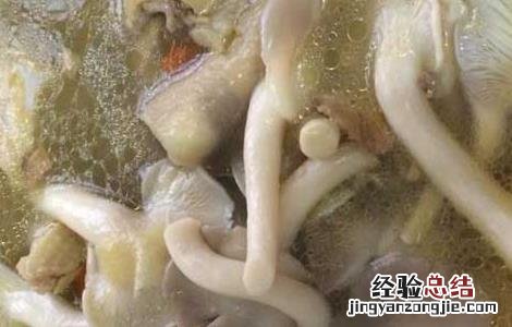 凤尾菇怎么做汤 凤尾菇汤的做法大全