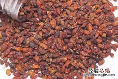 沙棘的作用与功效有哪些 沙棘