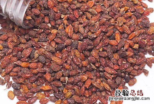 沙棘的作用与功效有哪些 沙棘