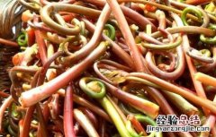 薇菜的做法大全带图片 薇菜的家常做法大全
