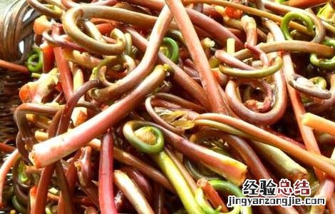 薇菜的做法大全带图片 薇菜的家常做法大全