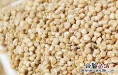 藜麦的家常做法大全 藜麦的家常做法大全窍门