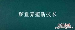 鲈鱼养殖新技术 鲈鱼人工养殖技术