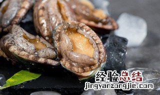 活鲍鱼第二天吃冷藏还是冷冻 鲍鱼暂时不吃如何保存