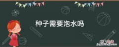 种子需要泡水吗 向日葵种子需要泡水吗