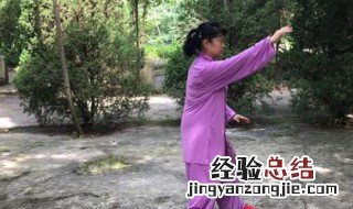 搂膝拗步的练学要点是什么? 搂膝拗步的步法