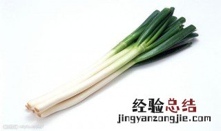 大葱的功效与作用及食用方法 大葱的功效与作用