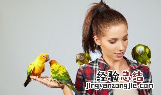 给小鸟取名字大全 给小鸟取名字大全英文