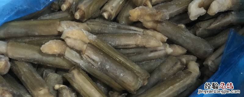 冷冻蛏子怎么处理干净 冷冻蛏子怎么洗又快又干净