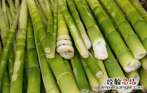 新鲜春笋怎么做好吃视频 新鲜春笋怎么做好吃