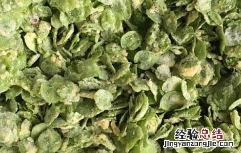 榆钱饭的功效及做法 榆钱饭的功效及做法视频